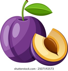 Fresh Plum fruit and Plum slice. Vector illustration flat cartoon	