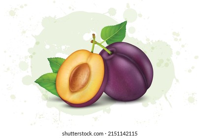 Fresh Plum fruits with green and half piece of plum fruit vector illustration isolated on white background