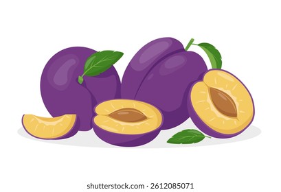 Fresh plum fruits, half and piece. Organic Plum fruit for juice, smoothie or vitamin healthy food and dessert. Vector icon illustration isolated on white background.