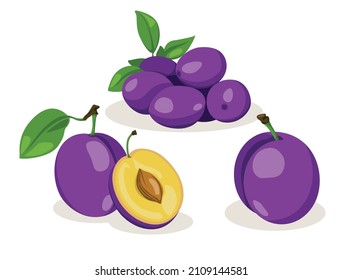 Fresh plum with green leaf in cartoon style. Vector whole and parts sweet plum isolated on a white background.