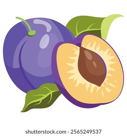 Fresh plum with green leaf in cartoon style. Vector whole and parts sweet plum isolated on a white background. Plum pit. Plum halves, slices and whole.Composition of several plums. Purple vector