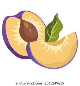 Fresh plum with green leaf in cartoon style. Vector whole and parts sweet plum isolated on a white background. Plum pit. Plum halves, slices and whole.Composition of several plums. Purple vector