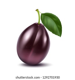 Fresh plum with a leaf isolated on white background. Fruit, healthy food, dessert. 3D effect. Vector illustration. EPS10