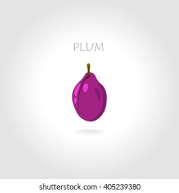 fresh plum vector illustration with text title