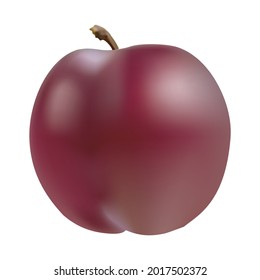 Fresh plums isolated on white background. Vector illustration
