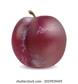 Fresh plums isolated on white background. Vector EPS  10
