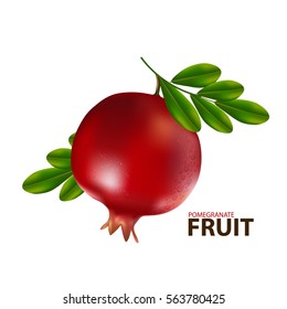 fresh pomegranate fruit 