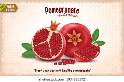 Ilustración vectorial de frutas de grano fresco con hojas de granada