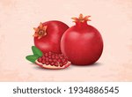 Fresh pomegranates vector illustration with red pomegranate seeds