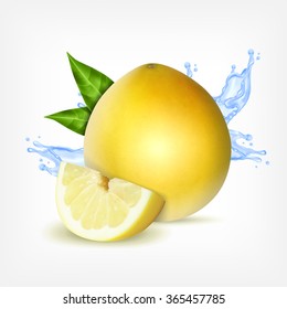 Fresh pomelo with slice and green leaves on a splashing water. Vector icon. EPS10 vector