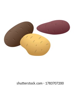 Fresh potato icon. Cartoon of fresh potato vector icon for web design isolated on white background