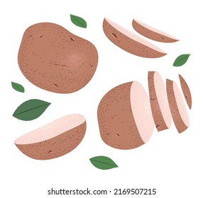 Fresh potato illustration. Whole potato and sliced ​​potato vector illustration.