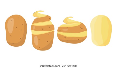 Fresh potato in skins and peeled. Whole organic potatoes tubers cook ingredients. Organic healthy vegetarian food. Vector icon illustration isolated on white background.
