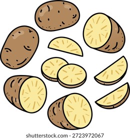 Ilustración vectorial de patata fresca con piezas enteras, cortadas a la mitad y en rodajas