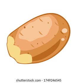 
Fresh potato vector with white background