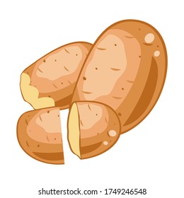 
Fresh potato vector with white background