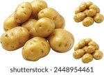 fresh potatoes for bake and french fried on white background