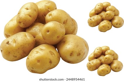 fresh potatoes for bake and french fried on white background