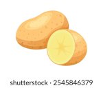 Fresh potatoes in cartoon style. Vector illustration of delicious potato: whole and half isolated on white background. Peeled and unpeeled potatoes. Healthy food. Vegetables. Harvest. Root crops.