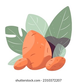 Fresh potatoes and leaf, healthy meal icon isolated