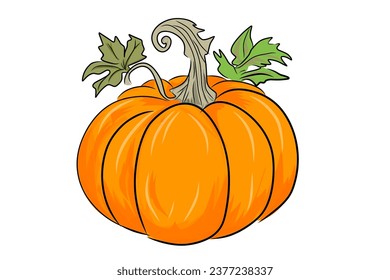 Fresh pumkins fruit for halloween days