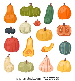 Fresh pumpkin decorative seasonal ripe food organic healthy vegetarian vegetable vector