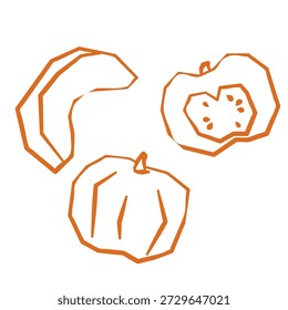 Fresh pumpkin illustration. Simple line style icon of vegetables for farmers market advertising. Vector symbol of harvested squash in minimal handdrawn outline style