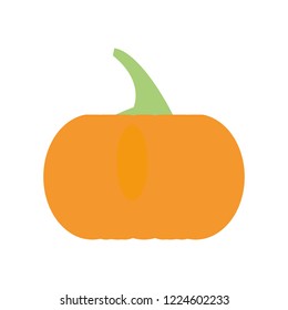 fresh pumpkin isolated icon