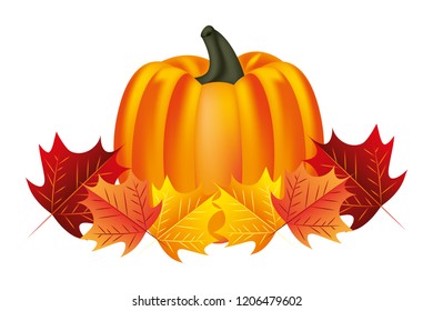 fresh pumpkin leaves on white background