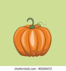 Fresh Pumpkin on green background. Vector