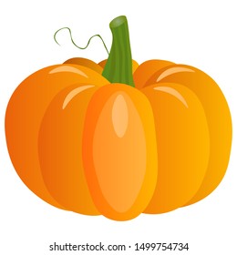 Fresh pumpkin on a white background. Harvesting for the winter. Autumn harvest. Vector illustration