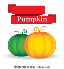 fresh pumpkin on white background vector