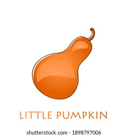 Fresh pumpkin on a white background. Harvesting for the winter. Autumn harvest. Vector illustration