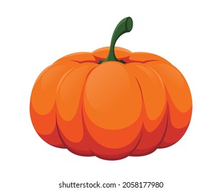 fresh pumpkin vector isolated on white background
