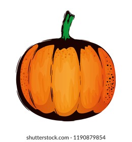 fresh pumpkin vegetable icon