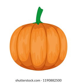 fresh pumpkin vegetable icon