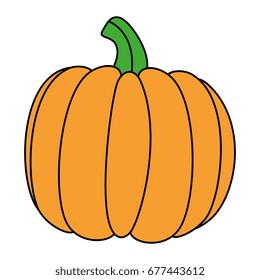 Fresh pumpkin vegetable icon