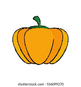Fresh pumpkin vegetable icon vector illustration graphic design