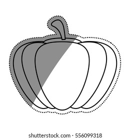 Fresh pumpkin vegetable icon vector illustration graphic design