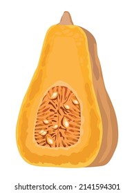 icono de la naturaleza vegetal de calabaza fresca