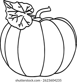 Fresh Pumpkin Vegetable Vector Illustration