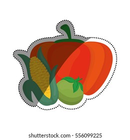 Fresh pumpking, corn and tomato vegetable icon vector illustration graphic design