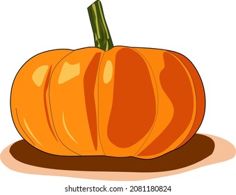 Ilustración de calabazas frescas. Para la foto de la tarjeta flash o el libro para niños. Vector de diseño plano