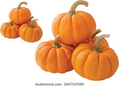 fresh pumpkins thanks giving on white background