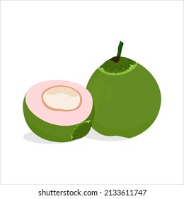 fresh purple coconut vector from indonesia