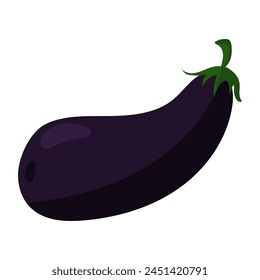 Fresh purple eggplant is isolated, showing off its bright color and glossy texture. Ideal for cooking graphics, recipe postcards, farm market commercials, healthy lifestyle blogs. Vector illustration