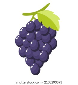 Fresh purple Grape fruit on white background. Vector illustration flat cartoon design.
