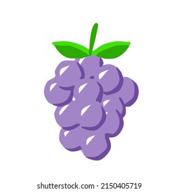 dibujo vectorial de uvas violetas frescas 