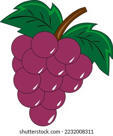 fresh purple grapes vector harvest free download