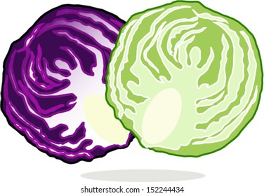 fresh purple (red) and green cabbage